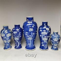 A set of blue and white cold plum bottles (5)