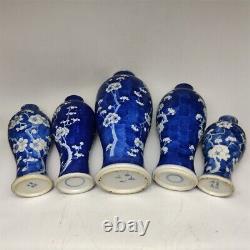 A set of blue and white cold plum bottles (5)